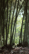 Indonesia Bamboo